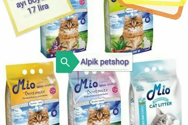 Güneşli petshop Bağcılar - Resim 14