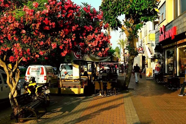 Let's go to Turkey - LGT Property Developer, Alanya - Resim 12