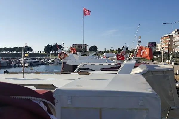 Altaş Ambarlı Liman Tesisleri - Resim 12