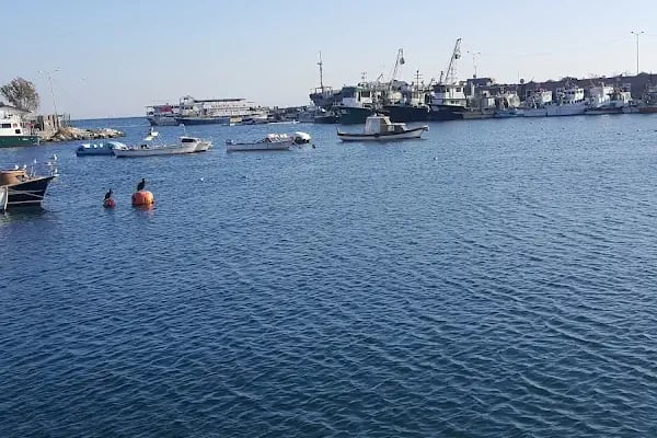 Altaş Ambarlı Liman Tesisleri - Resim 14
