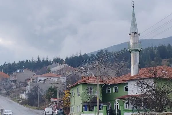 Sazak Aksu Cami - Resim 6