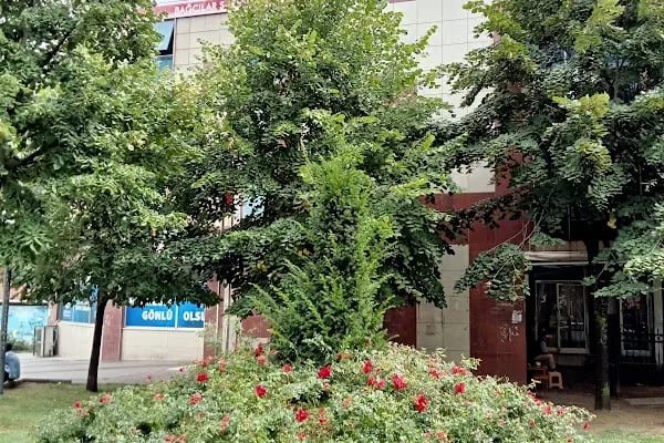 Güneşli Meydan Parkı - Resim 14