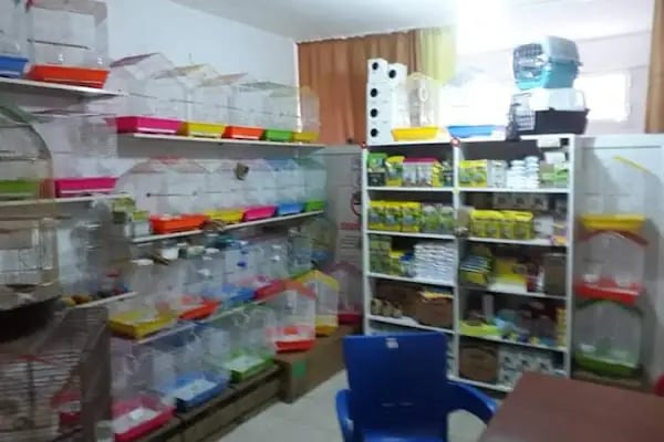 EVCİL PETSHOP - Resim 6