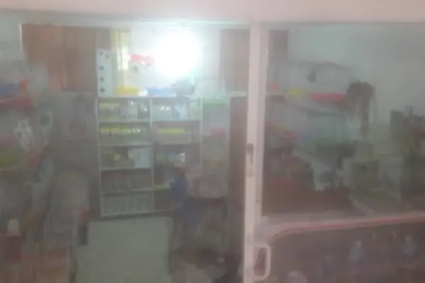 EVCİL PETSHOP - Resim 13