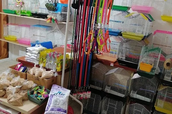EVCİL PETSHOP - Resim 12