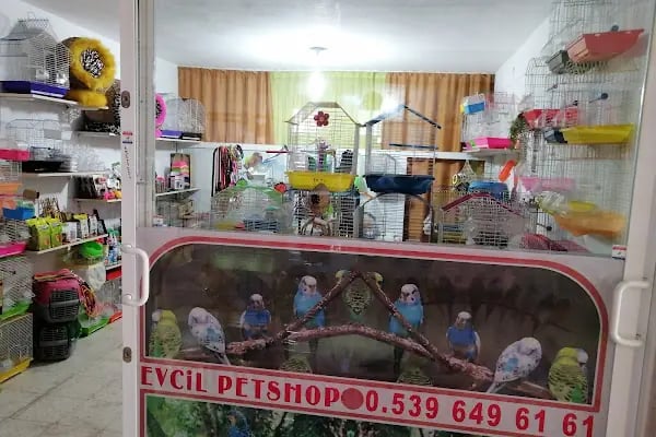 EVCİL PETSHOP - Resim 5