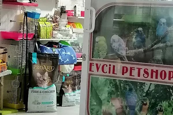 EVCİL PETSHOP - Resim 4