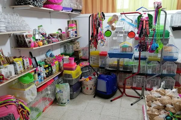 EVCİL PETSHOP - Resim 10