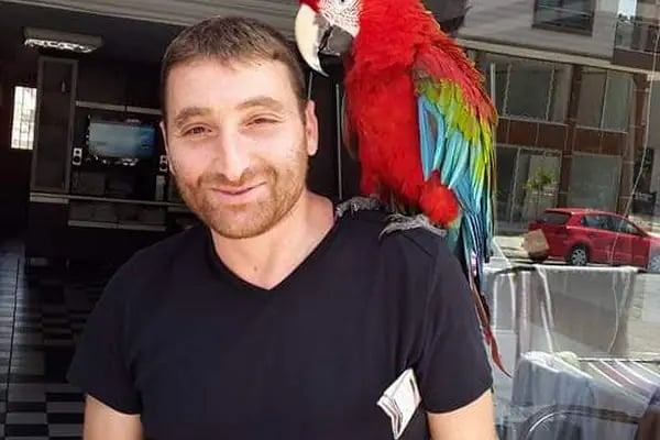 EVCİL PETSHOP - Resim 9