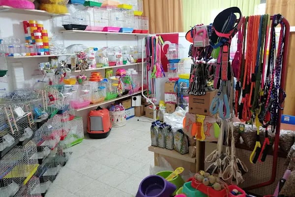 EVCİL PETSHOP - Resim 2