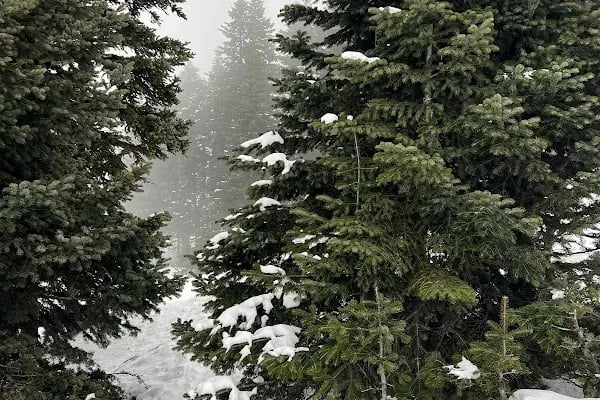 Karkay Kayak Odasi Snow Sport Center - Resim 17