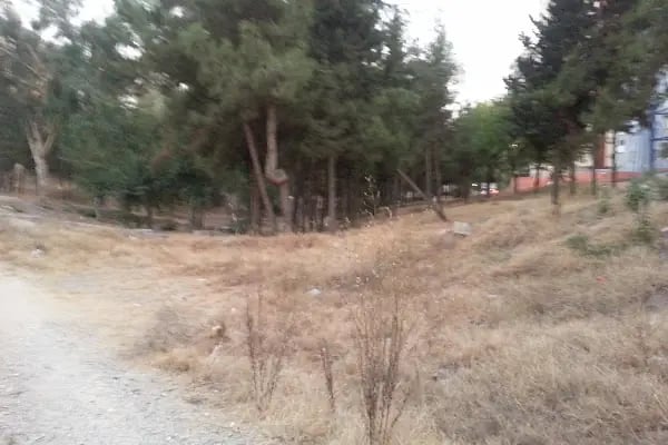 Şehit Jandarma Komando Er Tolga Kargıoğlu Parkı - Resim 10