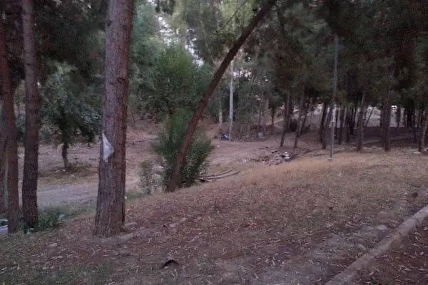 Şehit Jandarma Komando Er Tolga Kargıoğlu Parkı - Resim 7