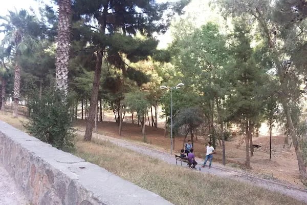 Şehit Jandarma Komando Er Tolga Kargıoğlu Parkı - Resim 13
