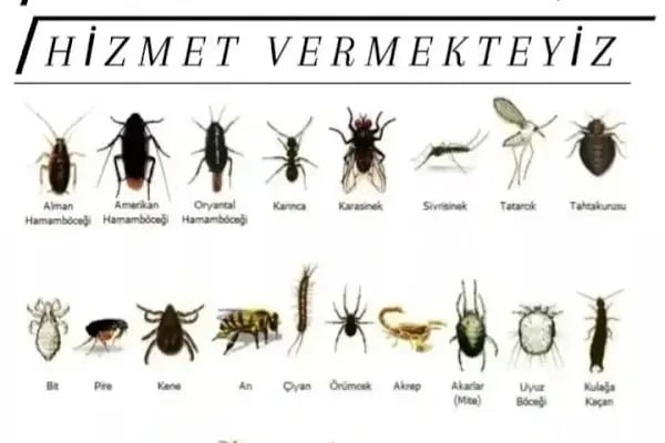 Balıkesir Çözüm ilaçlama ve temizlik hizmetleri - Resim 12
