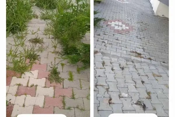 Balıkesir Çözüm ilaçlama ve temizlik hizmetleri - Resim 14