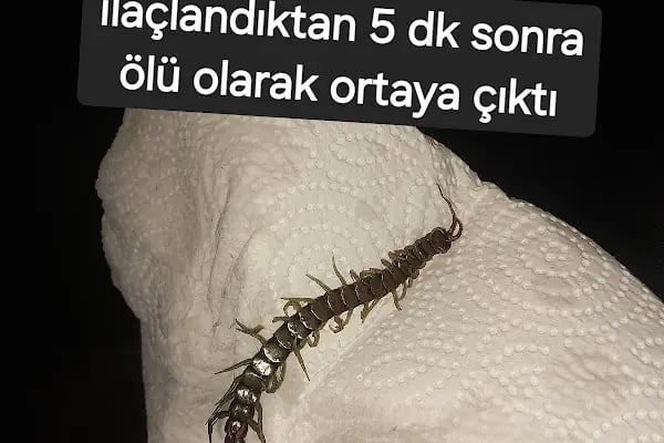 Balıkesir Çözüm ilaçlama ve temizlik hizmetleri - Resim 10