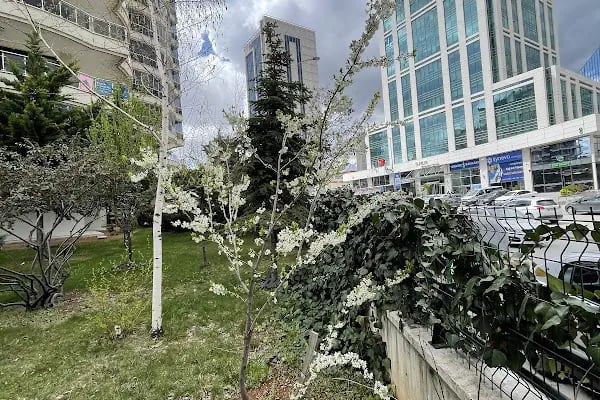 Silver Residence - Resim 1