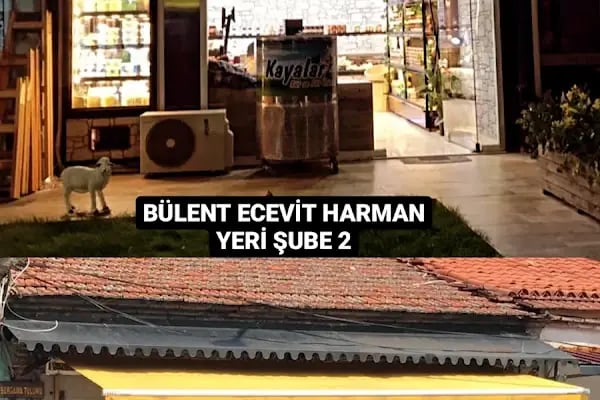 KAYALAR SÜT VE SÜT ÜRÜNLERİ - Resim 3