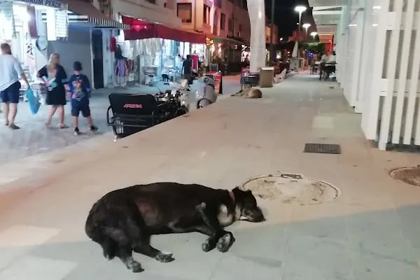 Turgutreis Yaşam Merkezi - Resim 5