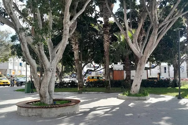 Turgutreis Yaşam Merkezi - Resim 3