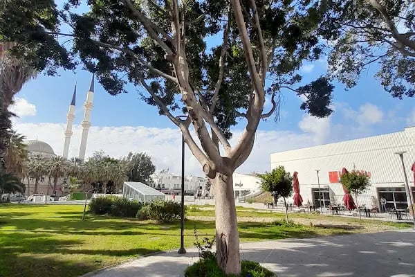 Turgutreis Yaşam Merkezi - Resim 2