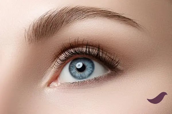 Uzm.Dr. Ayça TUĞRUL - Dermatoloji Uzmanı - Resim 12