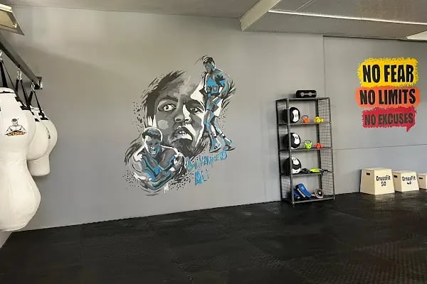 Temel Fight Academy - Resim 1