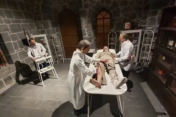 Kafkas Cephesi Harp Tarihi Müzesi - Resim 5