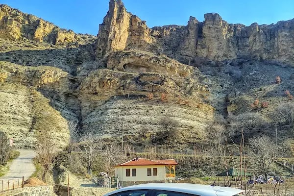Özlem Tesisleri Kır Bahçesi - Resim 15