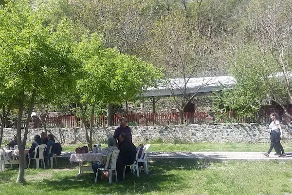 Özlem Tesisleri Kır Bahçesi - Resim 19