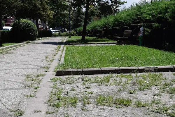 Bağcılar Belediyesi Fetih Parkı - Resim 10