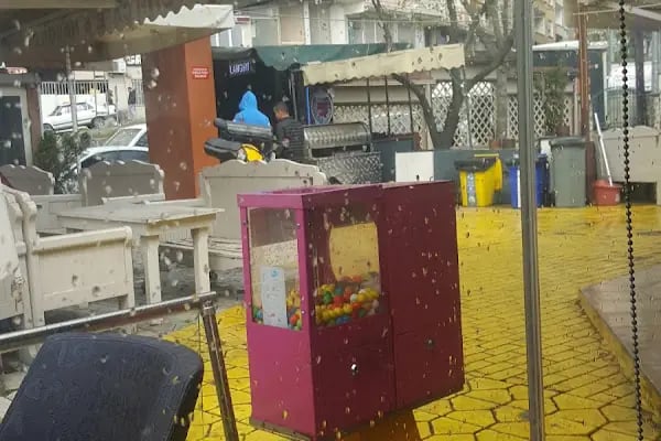 Bağcılar Belediyesi Fetih Parkı - Resim 14