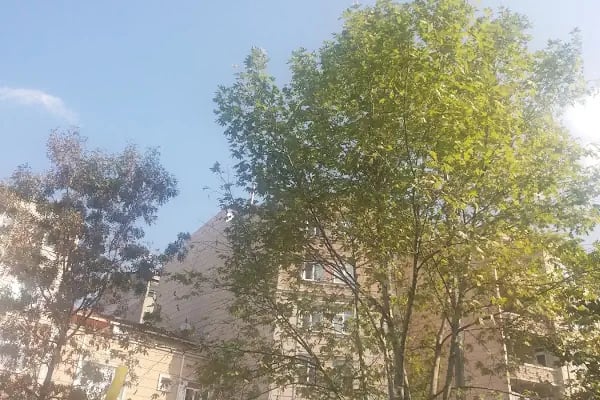 Bağcılar Belediyesi Fetih Parkı - Resim 7