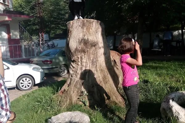 Kazım Karabekir Parkı - Resim 11