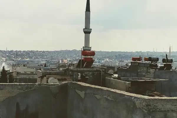 Sebze Pazarı - Resim 11