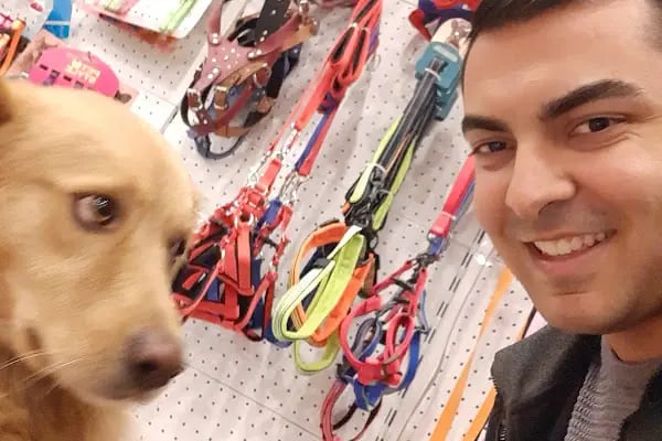 Paw Club Petshop &amp; Petkuaför Bodrum - Resim 3
