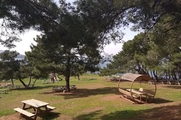Park - Resim 4