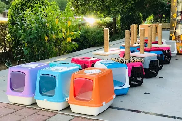 French PetShop - Resim 5
