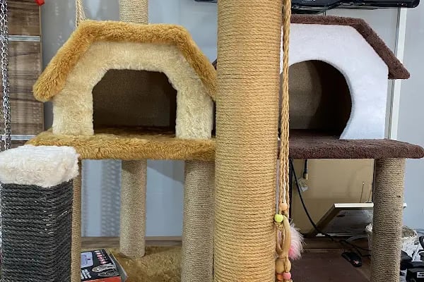 French PetShop - Resim 8