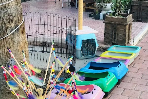 French PetShop - Resim 2