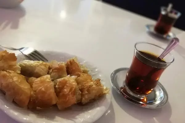 Turunçova nur pastanesi - Resim 20
