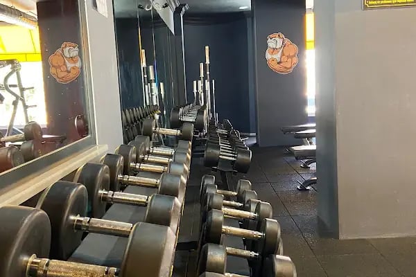 Regeneration GYM - Resim 8