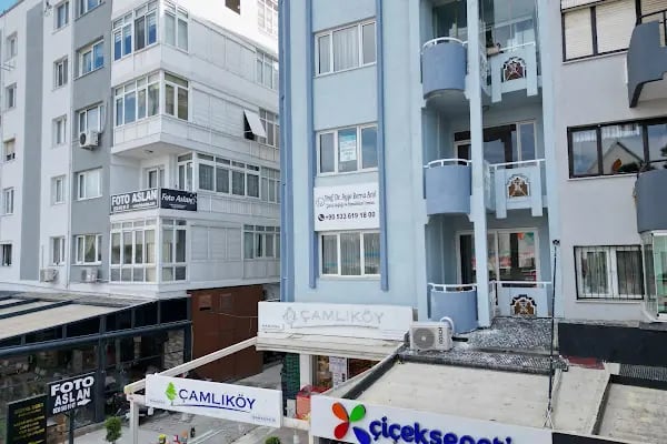 Prof. Dr. Ayşe Berna Anıl Çocuk Doktoru - Çocuk Sağlığı ve Hastalıkları Uzmanı - Pediatrist - Resim 15