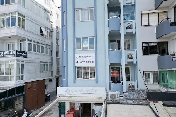 Prof. Dr. Ayşe Berna Anıl Çocuk Doktoru - Çocuk Sağlığı ve Hastalıkları Uzmanı - Pediatrist - Resim 3