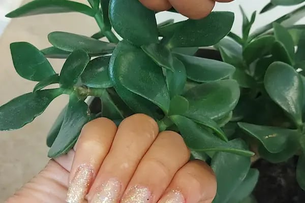 Sindy Kuaför güzellik salonu - Resim 13