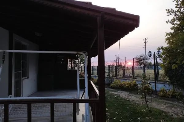 Sardunya Sitesi - Resim 7