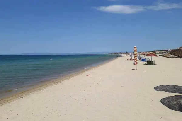 Sardunya Sitesi - Resim 3