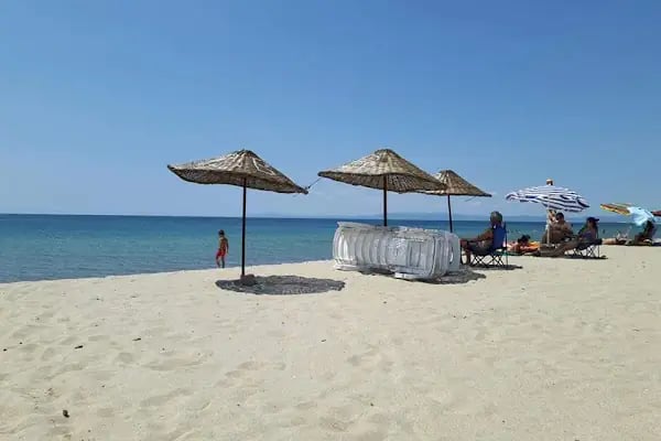 Sardunya Sitesi - Resim 9