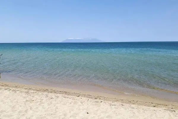 Sardunya Sitesi - Resim 4